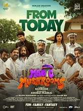 Magic Mushrooms