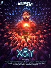 X and Y